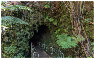 Image of the entrance to the Nāhuku Lava Tube, surrounded by lush foliage and greenery.