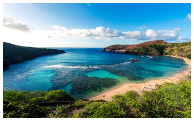 Water, beach and plants of Hanamua Bay